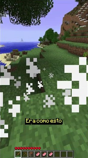 The first time I played Minecraft