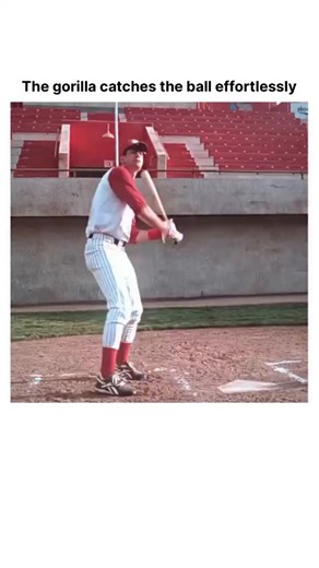 TheMovieDecodz on Instagram: "“A washed-up pitcher, a loyal dog, and a second chance nobody expected.” 🎬 Title: Ed (1996) 🎭 Genre: Comedy | Sports | Family 📍 Origin: USA 🇺🇸 📺 Where to Watch: Apple TV (rent), DVD 🐕 When a struggling baseball team signs an unlikely new player — a chimpanzee with a killer arm — chaos and comedy follow. Beneath the humor lies a feel-good story about redemption, teamwork, and finding hope when everything seems lost. #EdMovie #SportsComedy #90sMovies #FeelGoodF