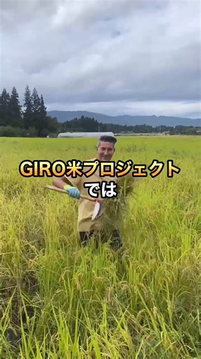 ジローラモ Panzetta Girolamo on Instagram: "会津の農家と共に、30年間眠っていた伝統の祭りを再び開催しました！🏯 太鼓の響き、浴衣の笑顔、収穫の喜びを分かち合う夜。会津の魂と有機米の未来を祝いました！🙏✨ GiRO米は、この土地の歴史と絆を未来へ繋ぎます。 一緒にこの瞬間を創った皆さんに感謝！🙌 あなたはどんな思い出を作りましたか？写真をシェアしてください！📸 #GiRO米 #会津祭り #有機米 #伝統復活 #福島プライド #日本文化 #会津魂 [写真：会津若松城の夕暮れ、浴衣姿で踊る人々、または輝く稲穂のフィールド！]"