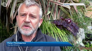 Gardening tips: water features