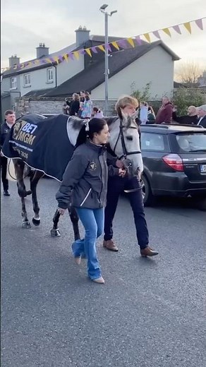 Willie Mullins’ Cheltenham stars on parade