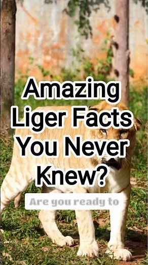 AMAZING Liger Facts You Never Knew?