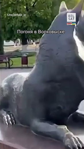 😱Как в боевике: погоня за мотоциклистом посреди людной площади в Волковыске #shorts