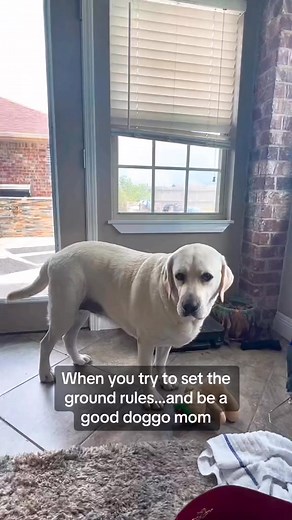 94K views · 4.1K reactions | #Bustersworld | Buster's World | Facebook