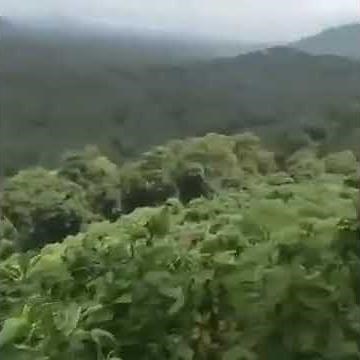 HI OK MEME ( NO COPYRIGHT / FREE DOWNLOAD )