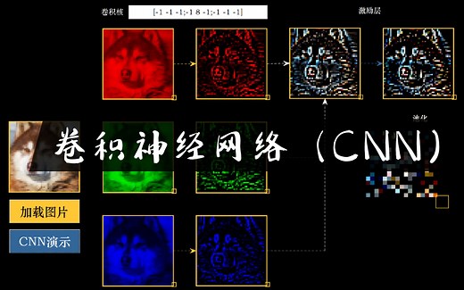 【可视化】卷积神经网络（CNN）从卷积层到池化层的全过程