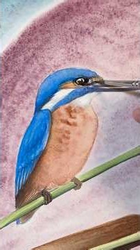 Acquarello di martin pescatore #animalart #watercolor #acquarello #birdart #tutorialwatercolor