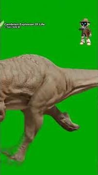 CAMBRIAN EXPLOSION When Life Grew Hard Parts