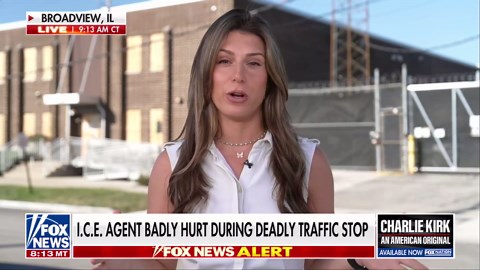 ICE agent badly injured after deadly traffic stop: Report