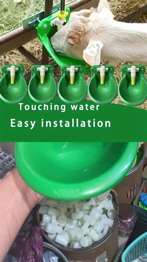 Automatic Goat Drinker for Healthy Livestock