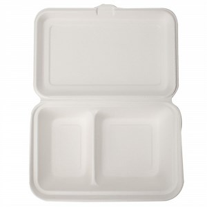 [Hot Item] Bagasse Fiber Bio 9" X 6" 2-C Hinged Containerfor Restaurants, Food Trucks