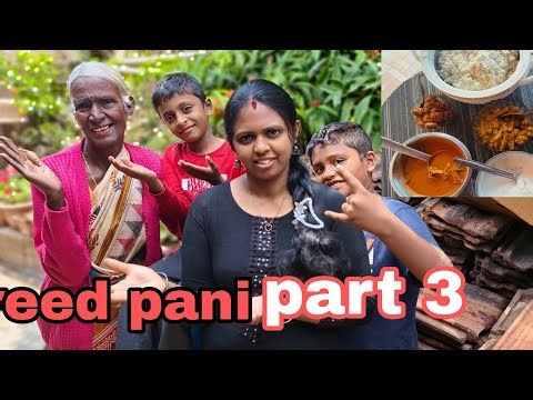 OUR HOME REPAIR WORK (VEED PANI) PART 3