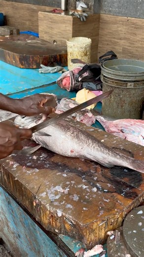 🔪 Red Snapper Fish Cutting | Clean Cuts, Perfect Pieces