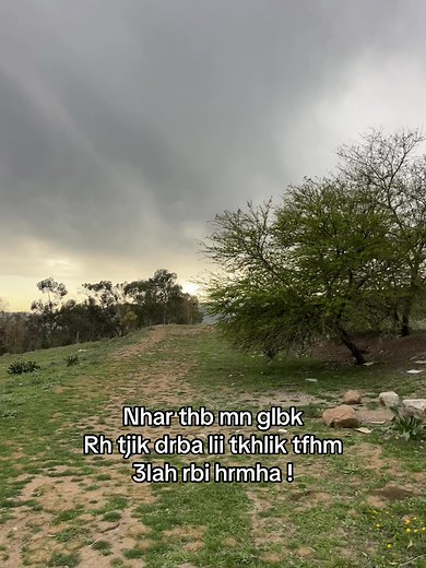 Vidéos de ossy ossm (@ossyossm) avec الصوت الأصلي - .