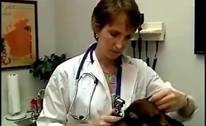 Sorry, we have encountered a problem. - Alexander Street, a ProQuest Company