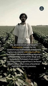 Pythagoras the ancient Greek philosopher had a strong aversion to fava beans. #history #ancient #philosophy #didyouknow | Spy the Reality