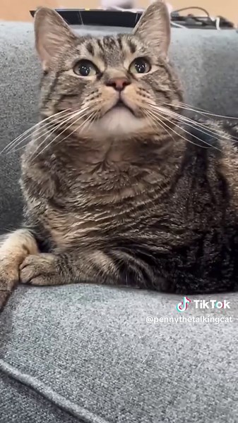 A playful moment from Lily…