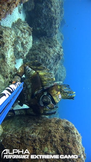 564K views · 1.2K reactions |  Predator wetsuitsNice video...