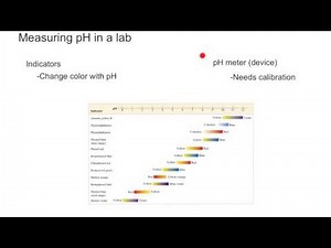 Techniques to Measure pH in a Lab