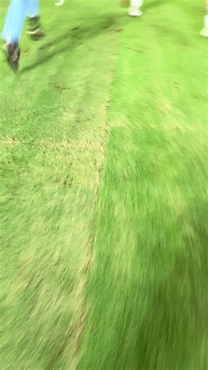 Crowd Invasion of Rabbits: A Fascinating Phenomenon