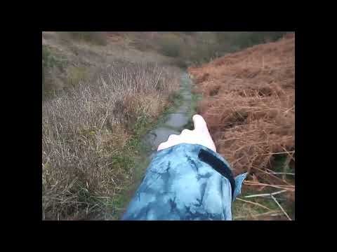 Path for the Water next to the Path, Reg. VAELXRQX