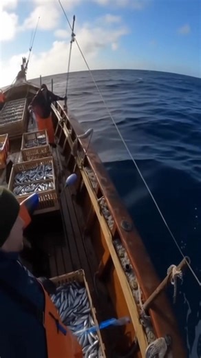 48K views · 742 reactions | The ocean turned wild in seconds  Fishermen panic as a massive orca slams into their wooden boat  Unbelievable real footage! #OrcaAttack #FishingLife #OceanTerror #RealFootage #ViralReel #fblifestyle | Zack Orca Films | Facebook