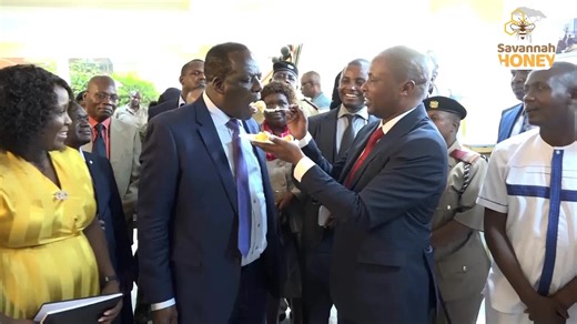 Bee Gold: Bee Venom Market Launched: Farmers Can Earn Sh4M per Kilogram. A single beehive can yield about 1.5 grams of bee venom per harvest, giving farmers around 10 grams annually. At Savannah Honey Center, a gram sells for Sh4,000, making a kilogram worth Sh4 million. Speaking during the launch of Africa’s first bee venom marketplace, CEO Kyalo Mutua said the platform will connect farmers directly to buyers, formalize the trade, and unlock new income streams. With rising demand for bee venom 