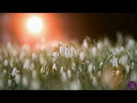 Stop Overthinking | Grounding Acoustic Guitar | Relaxing Music for Concentration