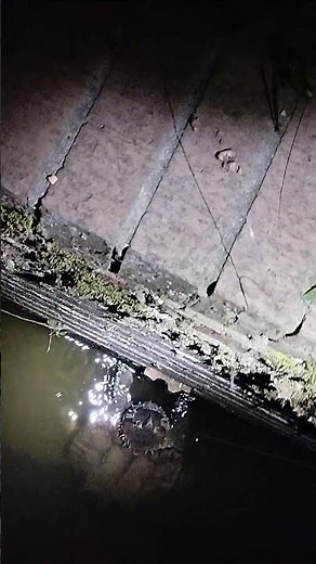 Alligator Snapping Turtle Caught Fishing in Arkansas #werftv #turtle