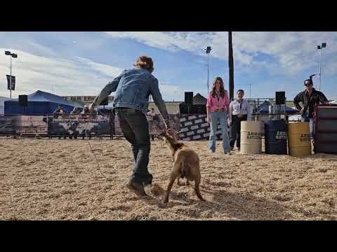 Goat Roping at ANLS 2025