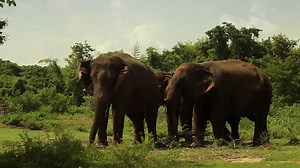 Thajsko: Země úsměvů - ČT edu - Česká televize