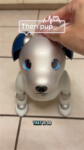 Sony Aibo! The CUTEST and Smartest AI Companion! 🐶🤖 #sonyaibo #aibo #aipet #robotpet #autonomous