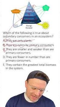MCQ: Energy Pyramid