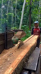 Sawing teak wood #7x12 material #sawingtools #indonesia #fbproviral #everyone | Suwarno Graji
