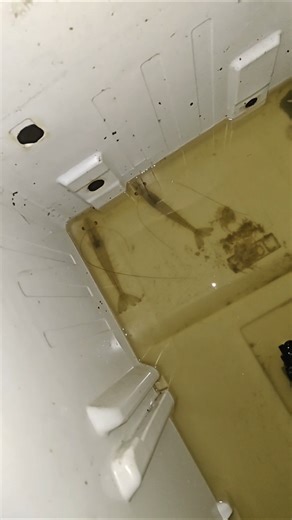 The Secretive World of Shrimp Farming