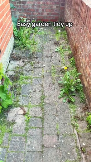 5.7K views · 14 reactions | Say goodbye to back-breaking patio cleaning  The ONE+ Wire Brush Patio Cleaner is here to save your knees and your sanity! Get yours now  https://tinyurl.com/5c6puat9 | Ryobi Tools UK | Facebook