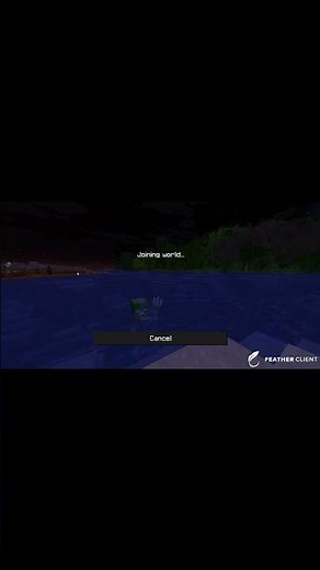 why cant i join donut smp?
