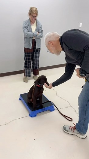 Great job learning the “place” command! Remember to work on teaching...