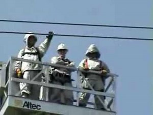 Live Line Barehand MI