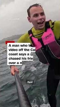 Shark chases foil surfer