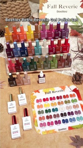 Fall Colors, All in One Box 🍂🎨