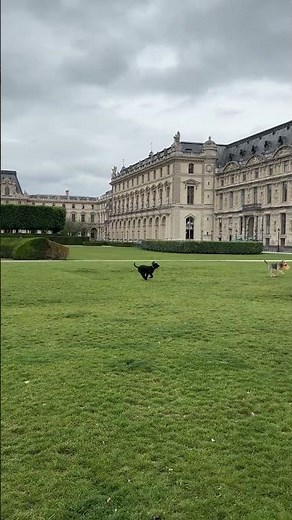 チュイルリー庭園 #paris 38log