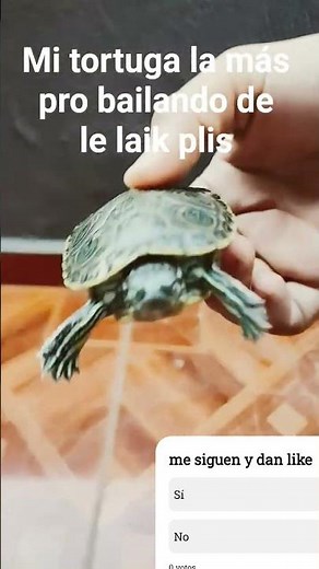 28 de diciembre de 2025