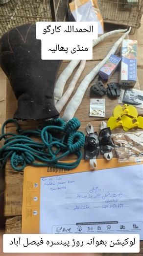 Ek Shok Murga Bazi Da Aseel Accessories Aseel lover Shok Murga Bazi #millionviews #aseellovers #aseelmurga #for #foryou @🅰🅼🅸🆁😈 @ʙ➋ᴋ ᭄حسن༒︎☠️ @🥂نواب👀 @Aman asjal Ansari 185