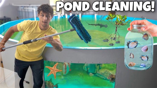 Discover new invertebrates in my pond!