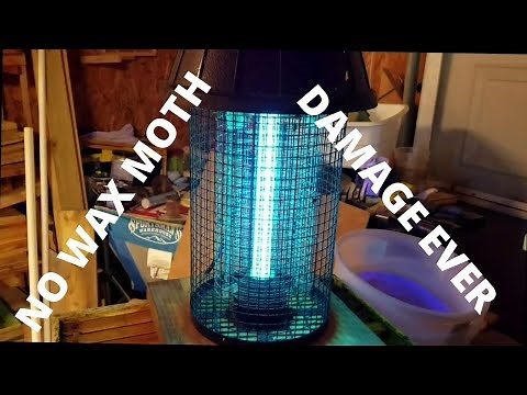 How To Keep the Wax Moths out of Your Stored Drawn Comb!