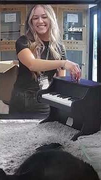 Diario de México Noticias