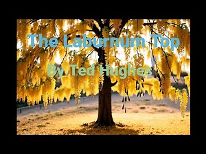 The Laburnum Top (CBSE - NCERT) (CLASS - 11)