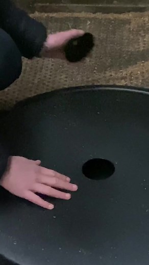 Meet the Haygain Forager - The slow-feeding solution that reduces waste minimises health risks and allows your horse to feed in a more natural way 👌 | Haygain UK