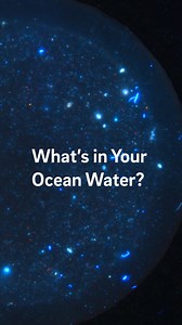 🌊These kayakers are paddling with a purpose — to track microplastics in the ocean water right off our coast! In this project led by the Deheyn Lab at Scripps Oceanography, students and citizen scientists collect samples from the surf zone to the open water to see how microplastic concentrations change over time — and even how they may spike during busy beach seasons. Early results have found several hundred pieces of microplastics in just 50mL of seawater! This is just the size of a small trave